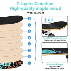 Budget π Tandard Skateboard, Complete Skateboard 31''x 8'', 7 Layer Canadian Maple Double Kick Deck Concave Cruiser Trick Skateboards For Kids Boys Girls Youths Beginners. Cartoon1 π